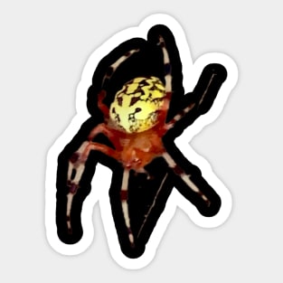 Fancy Spider Sticker